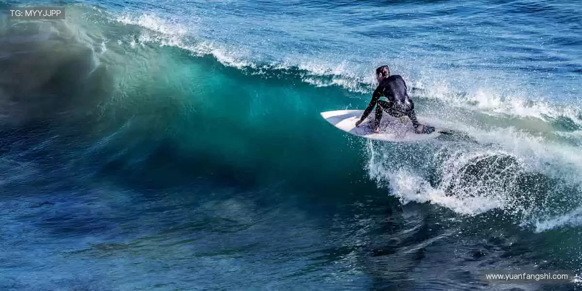 🎯精准数据,深度解析赛事背后的故事!